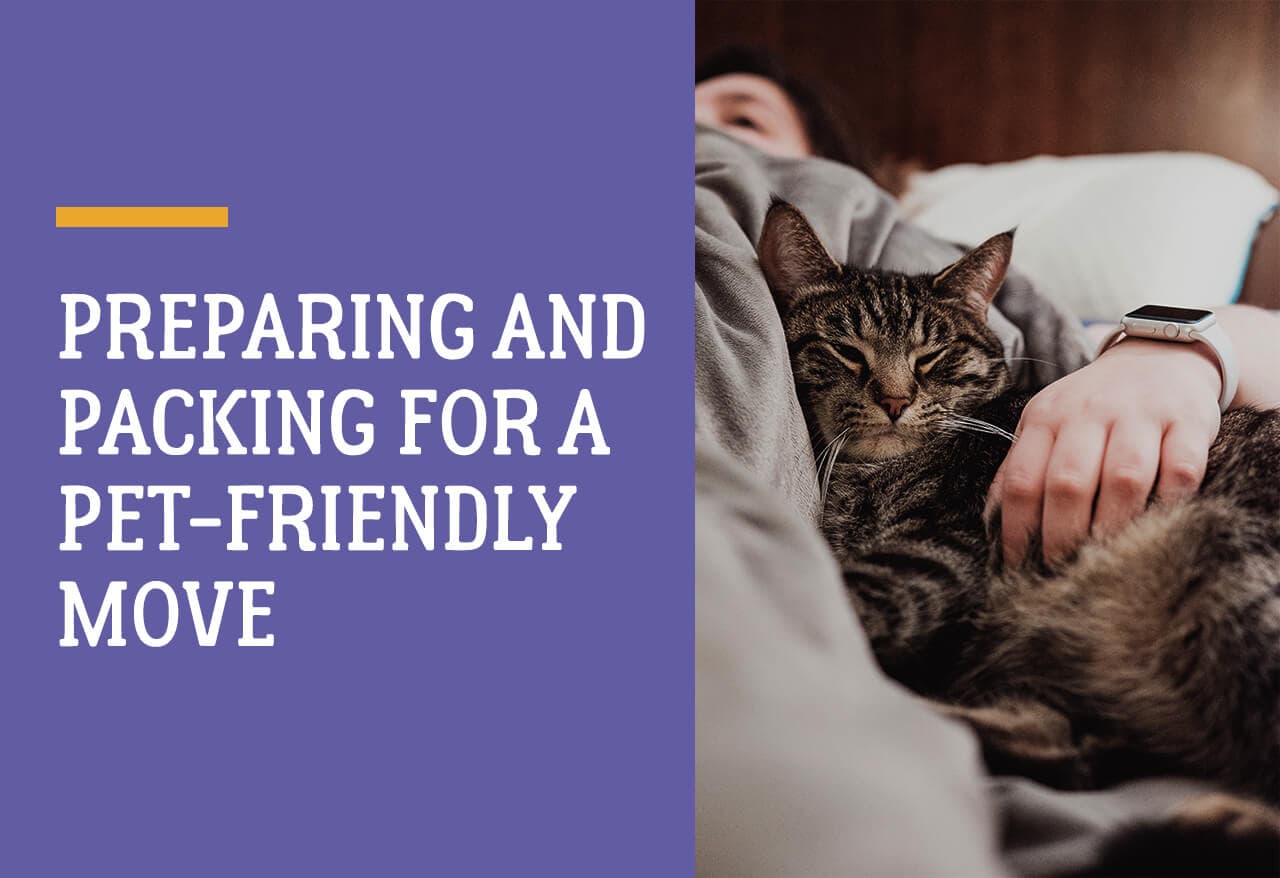 Preparing and Packing for a Pet-Friendly Move