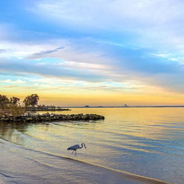foto_no_enjoy_chesapeake-640x640