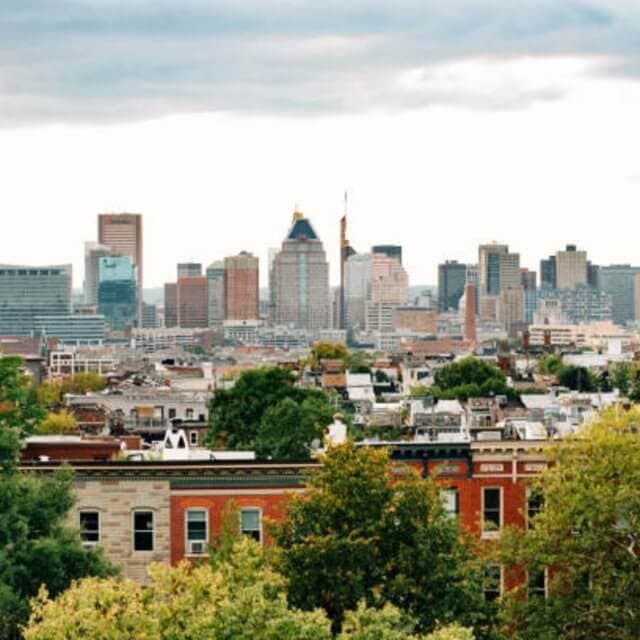 foto_no_parks_green_spaces-640x640